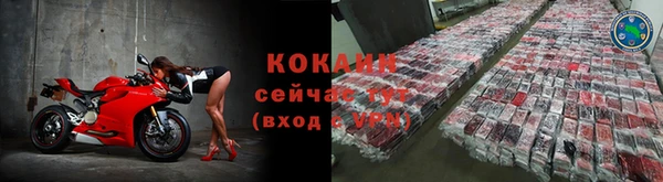 трава Абаза