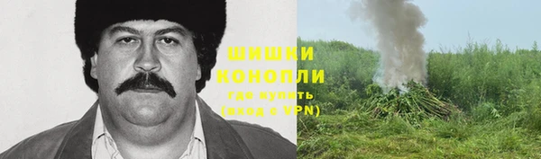 трава Абаза