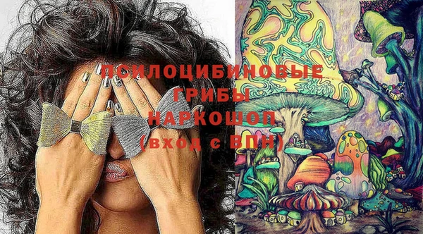 тгк Абдулино